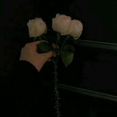 神谕天下破解版下载